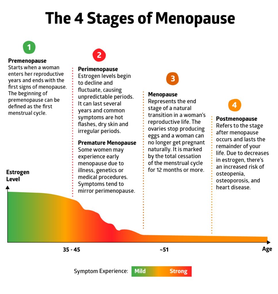 There are four stages of menopause that women go through. 