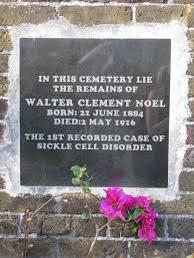 Noel rests in a churchyard overlooking the Caribbean Sea in the parish of Sauteurs, alongside his sister Jane and his father, both of whom died prematurely from pulmonary disease and kidney disease, respectively.